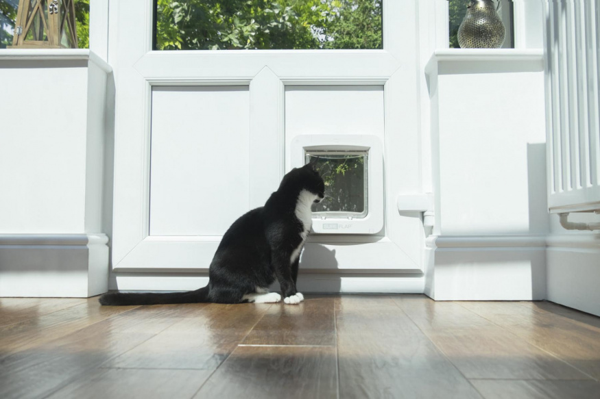SureFlap Microchip Pet Door Connect Kočka u čipových dvířek SureFlap Microchip Pet Door Connect