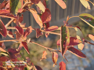 Fotografie z Oppo Find X10 Pro Max Fotografie z Oppo Find X10 Pro Max