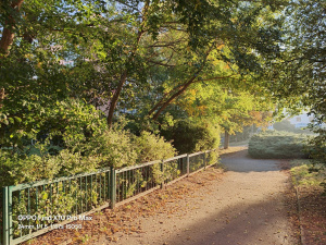 Fotografie z Oppo Find X10 Pro Max Fotografie z Oppo Find X10 Pro Max