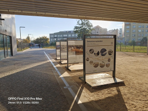 Fotografie z Oppo Find X10 Pro Max Fotografie z Oppo Find X10 Pro Max