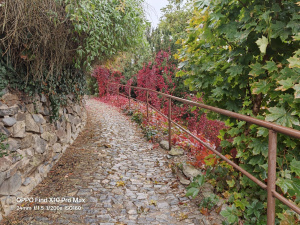 Fotografie z Oppo Find X10 Pro Max Fotografie z Oppo Find X10 Pro Max
