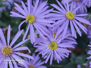 Fotografie z Oppo Find X10 Pro Max Fotografie z Oppo Find X10 Pro Max