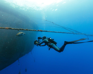 Bbc Blue Planet 3 - autentický záběr z natáčení