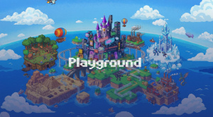 Google Playground